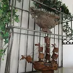 Palme 1 * オパティヤ